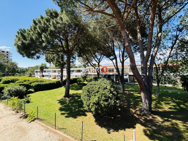 Studio à louer, 1 pièce Argelès sur Mer 66700