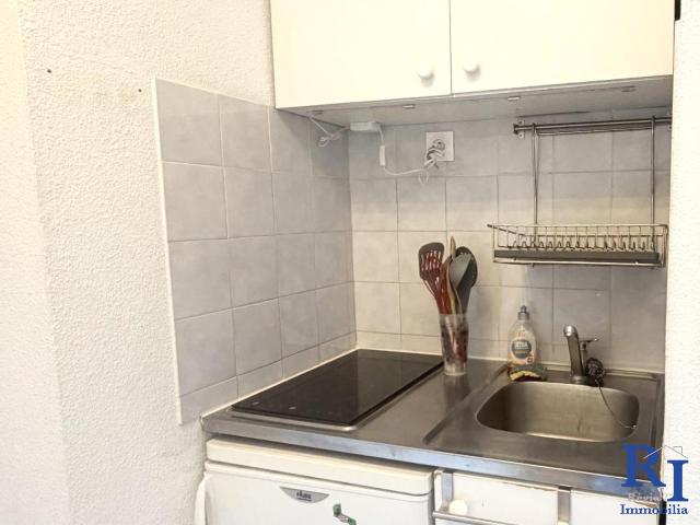 Studio à louer, 1 pièce Grenoble 38100