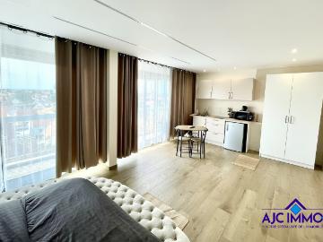 Studio à louer, 1 pièce Lingolsheim 67380