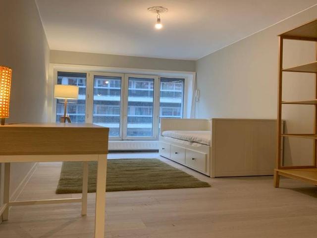 Studio à louer à Brussels, Avenue de la Brabançonne