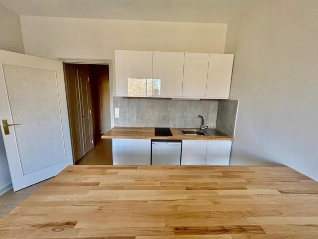 STUDIO A LOUER A ROANNE PROMENADES
