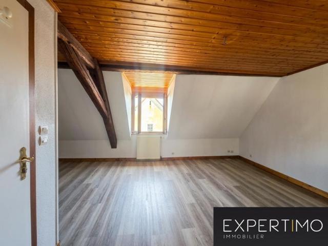 Studio à louer Ensisheim