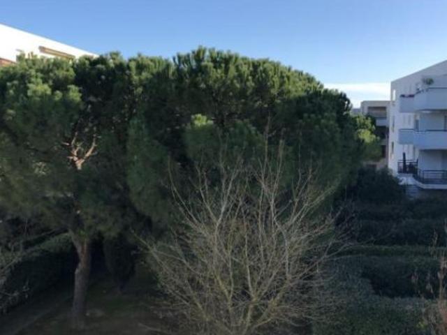 Studio à Montpellier à louer Locagestion, expert en gestion locative
