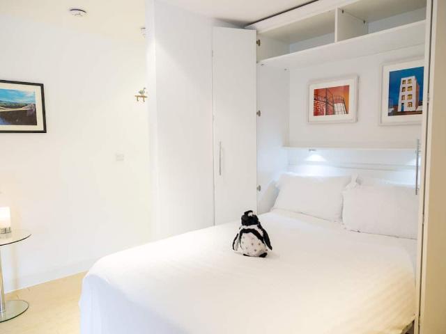 Studio Apartment – Medium Let