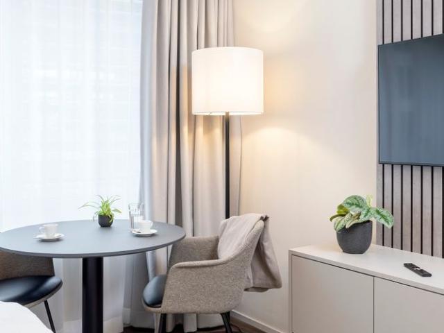 Studio Apartment möbiliert in Cham Zug, Papieri Areal