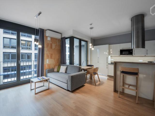 Studio Apartment, modern, high quality, with balcony in the centre of Dresden Germany, Dresden Amsterdam Apartments for Rent