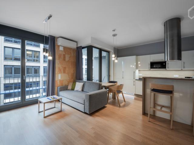 Studio Apartment, modern, high quality, with balcony in the centre of Dresden Germany
