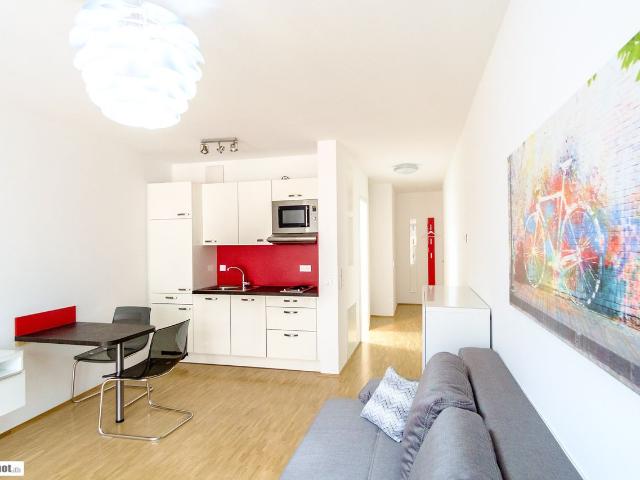 Studio Apartment Nr. 17 in best Dresden Neustadt location, Dresden Amsterdam Apartments for Rent