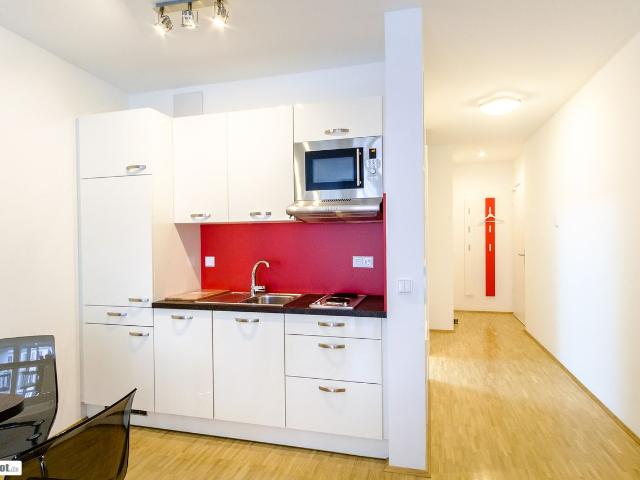 Studio Apartment Nr. 12 in best Dresden Neustadt location, Dresden Amsterdam Apartments for Rent