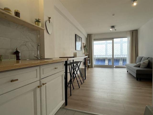 Studio apartment for rent – Ostend – near seafront