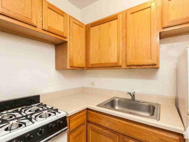 Studio Apartment for Rent at 1164 N Dearborn St #313, Chicago, IL 60610 Near North Side