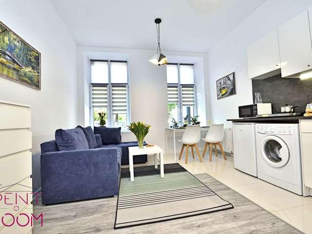 Studio apartment for rent in Old Polesie, Lodz