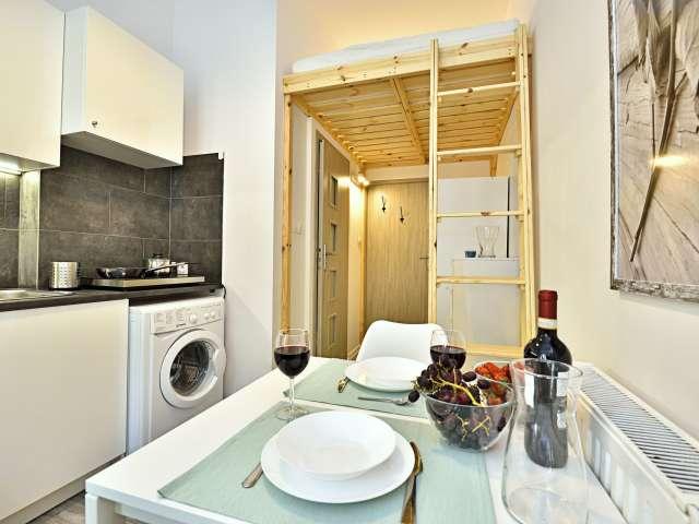 Studio apartment for rent in Old Polesie, Lodz