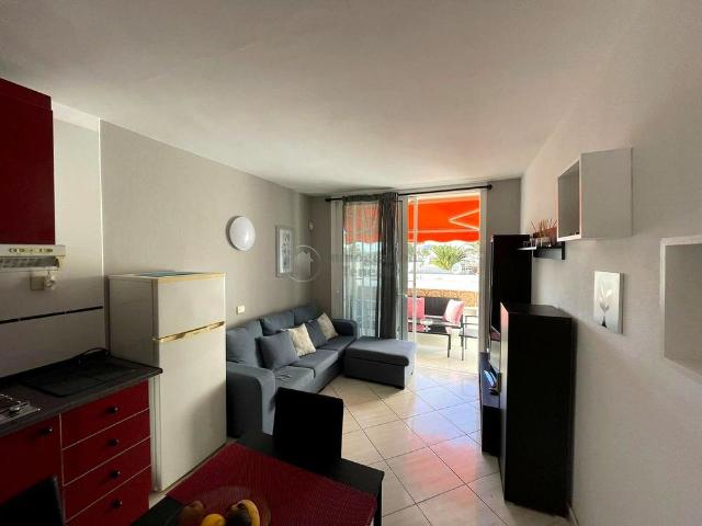 Studio Apartment for Rent in Costa del Silencio!