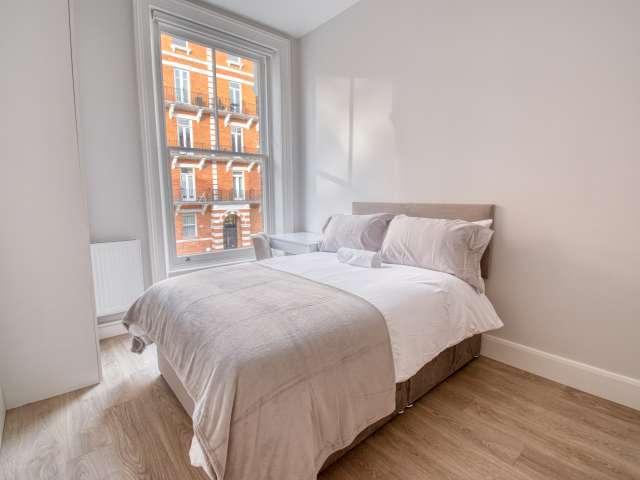 Studio for rent in Redcliffe, London