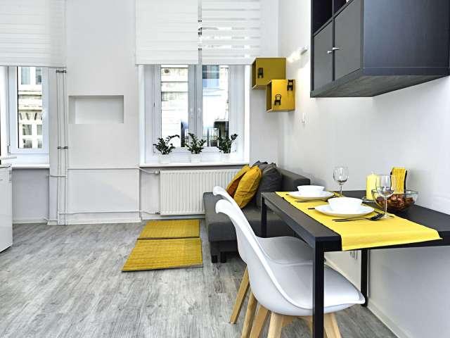 Studio apartment for rent in Politechnika Łódzka, Lodz