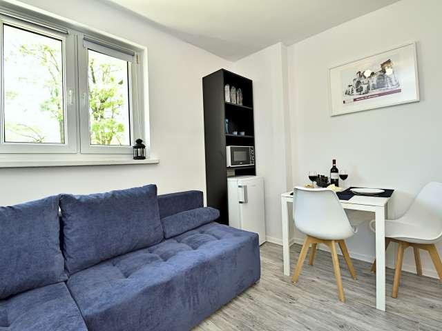 Studio apartment for rent in Stare Bałuty, Lodz