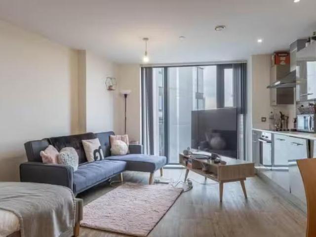 Studio apartment for rent in The Bank, 60 Sheepcote Street, Bi.