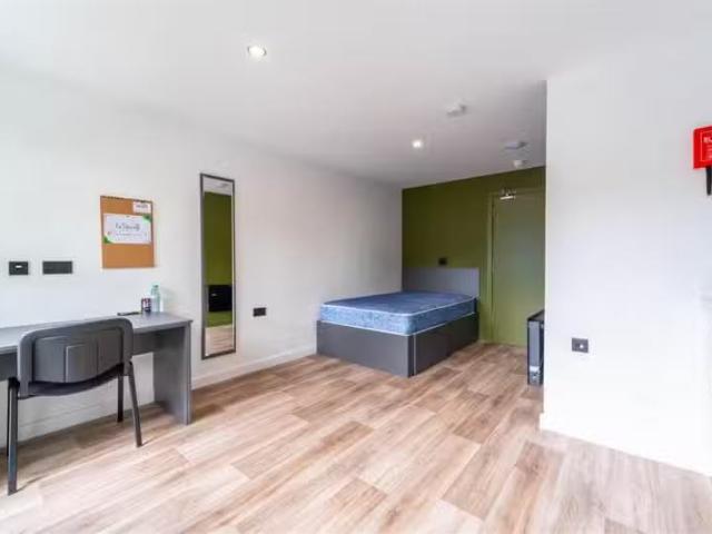Studio apartment for rent in 1256 1258 Pershore Road, Stirchle.