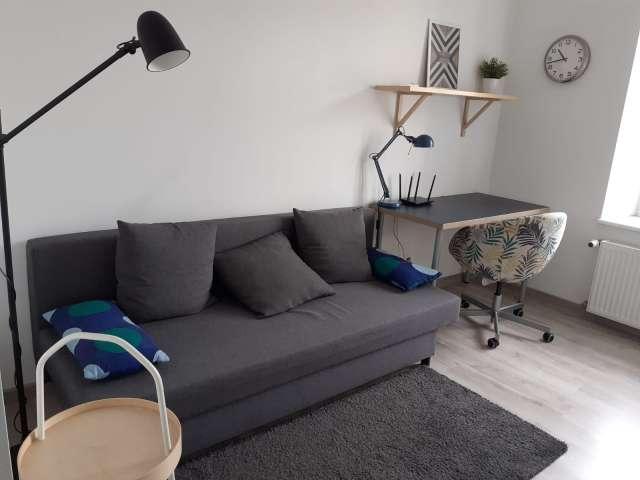 Studio apartment in Lodz
