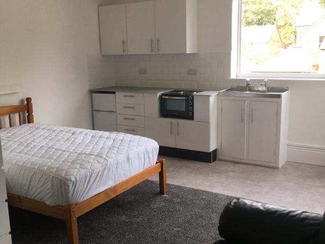 Studio apartment in tree lined Sharrow