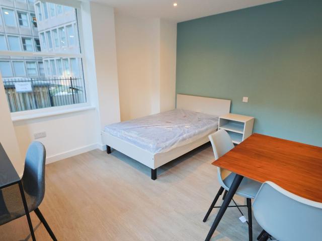 Studio Apartment – Professional Let, Student Let