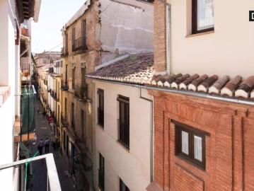 Studio apartment with balconies for rent in Centro