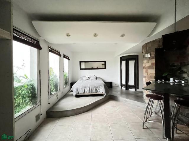 Studio apartment with open view of the Argentine Polo Field | Las Cañitas