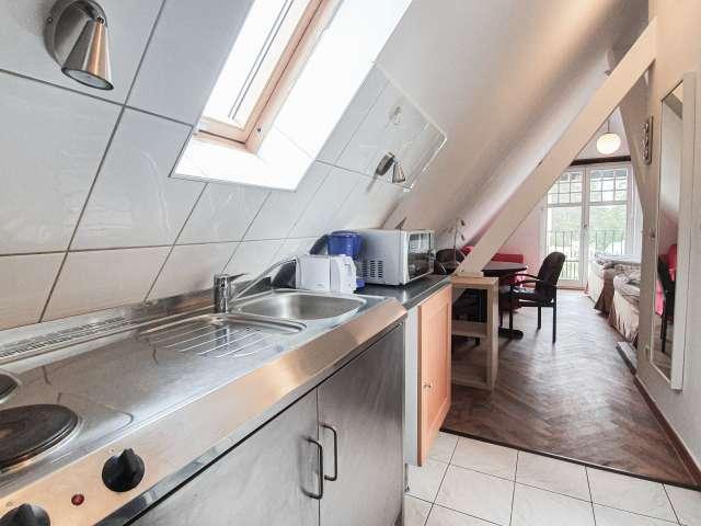 Studio Apartment zu vermieten in Zehlendorf, Berlin