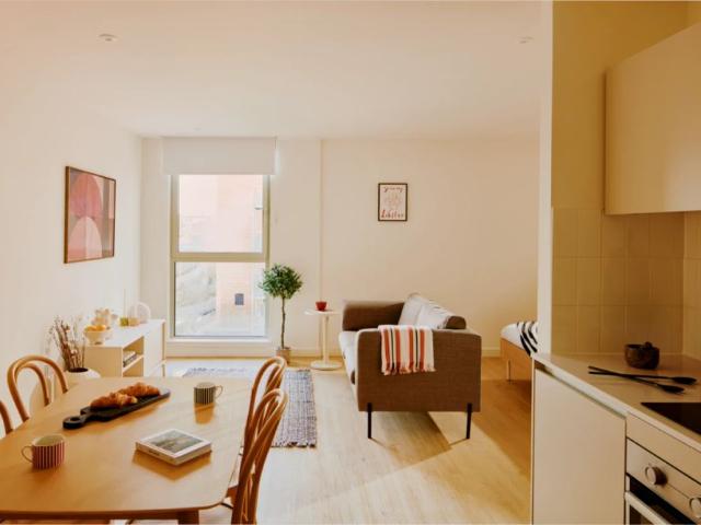 Studio Apartment