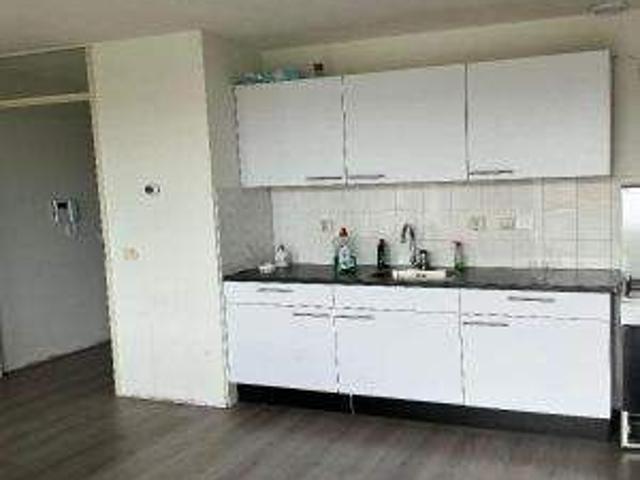 Studio Appartement Timpaan 56, Hoorn À Louer