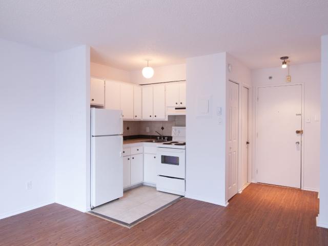 studio at 1595 Rachel Plateau Montreal H2J 2K5