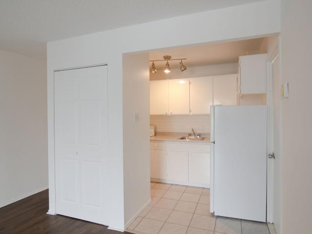 studio at 1595 Rachel Plateau Montreal H2J 2K5
