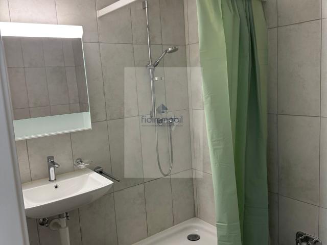 Apartment with 1 room for rent in Neuchâtel 42 m² | dreamo. Ch
