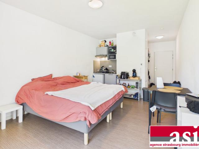 Studio avec terrasse Montagne verte Strasbourg