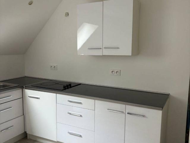 Studio avec mezzanine 30,7m2