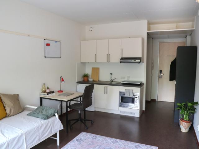 Studio Bomansplaats 115 5611 NT Eindhoven
