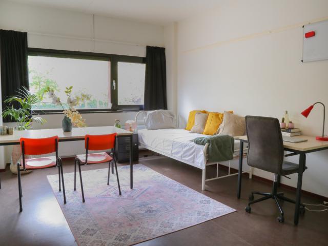 Studio Bomansplaats 36 C 5611 NT Eindhoven