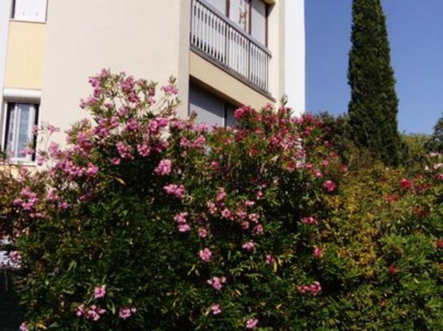 Studio de 13m2 à louer sur Montpellier