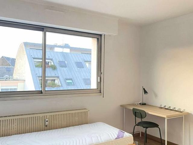 Studio de 16m2 à louer sur Strasbourg