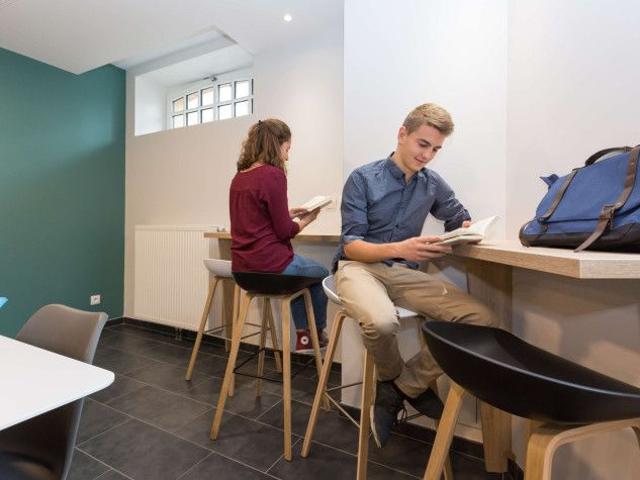 Studio de 18 à 19m² meublé et équipé