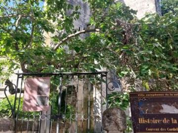 Studio de 21m2 à louer sur Avignon