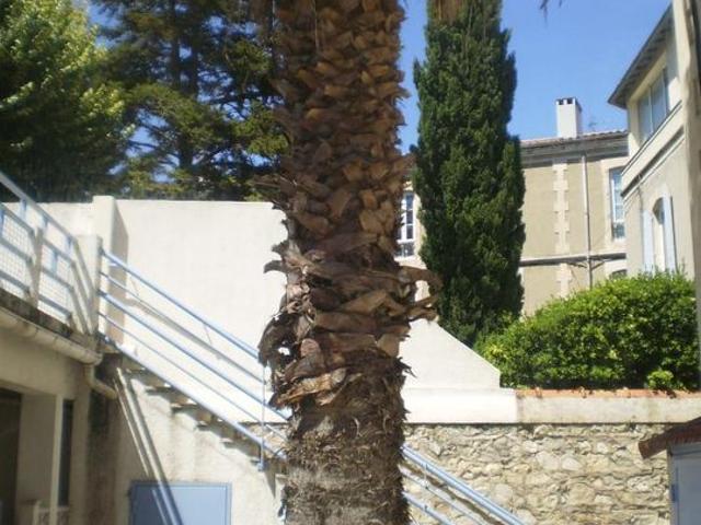 Studio de 24m2 à louer sur Nîmes