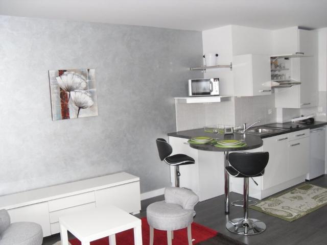 Studio de 25m2 à louer sur Annecy