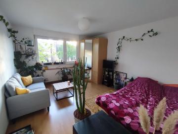 Studio de 31m2 à louer sur Strasbourg