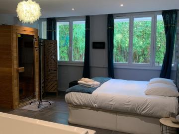 Studio de 32m2 meublé avec stationnement privé / Chauffage col