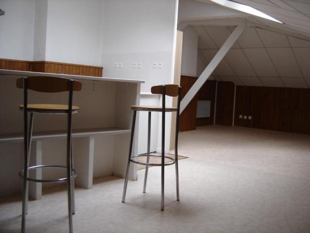 Studio de 45m2 à louer sur Germigny l'Évêque