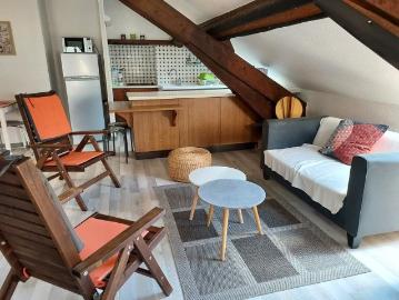 Studio de 46m2 à louer sur Grenoble