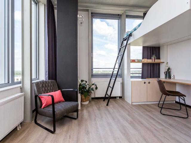 Studio De Lampendriessen 31 1211 5612 AH Eindhoven