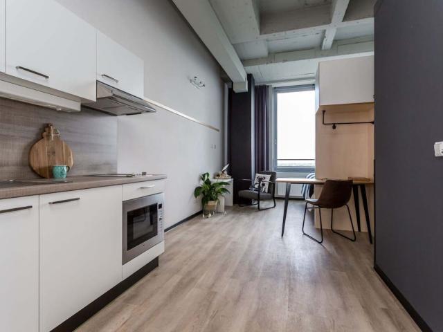 Studio De Lampendriessen 31 1231 5612 AH Eindhoven